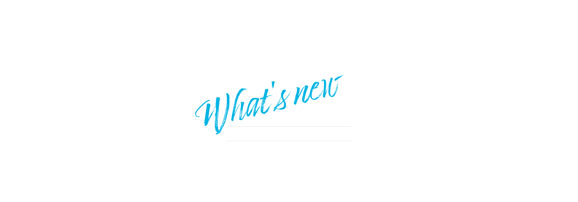 オフィシャルブログ